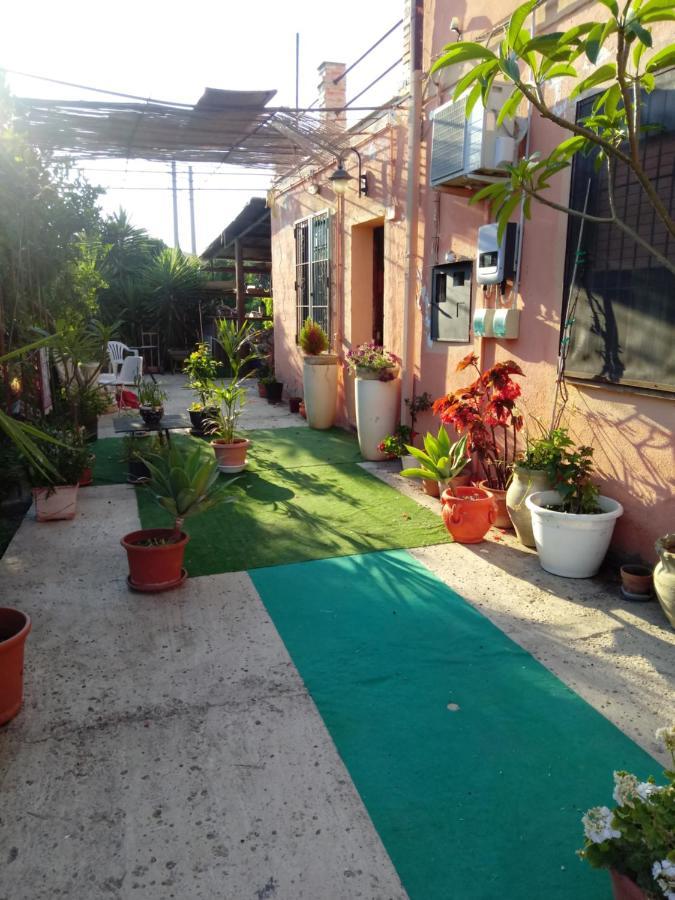 B B Casa Vacanze Il Pino Di Pino Lascari Eksteriør billede